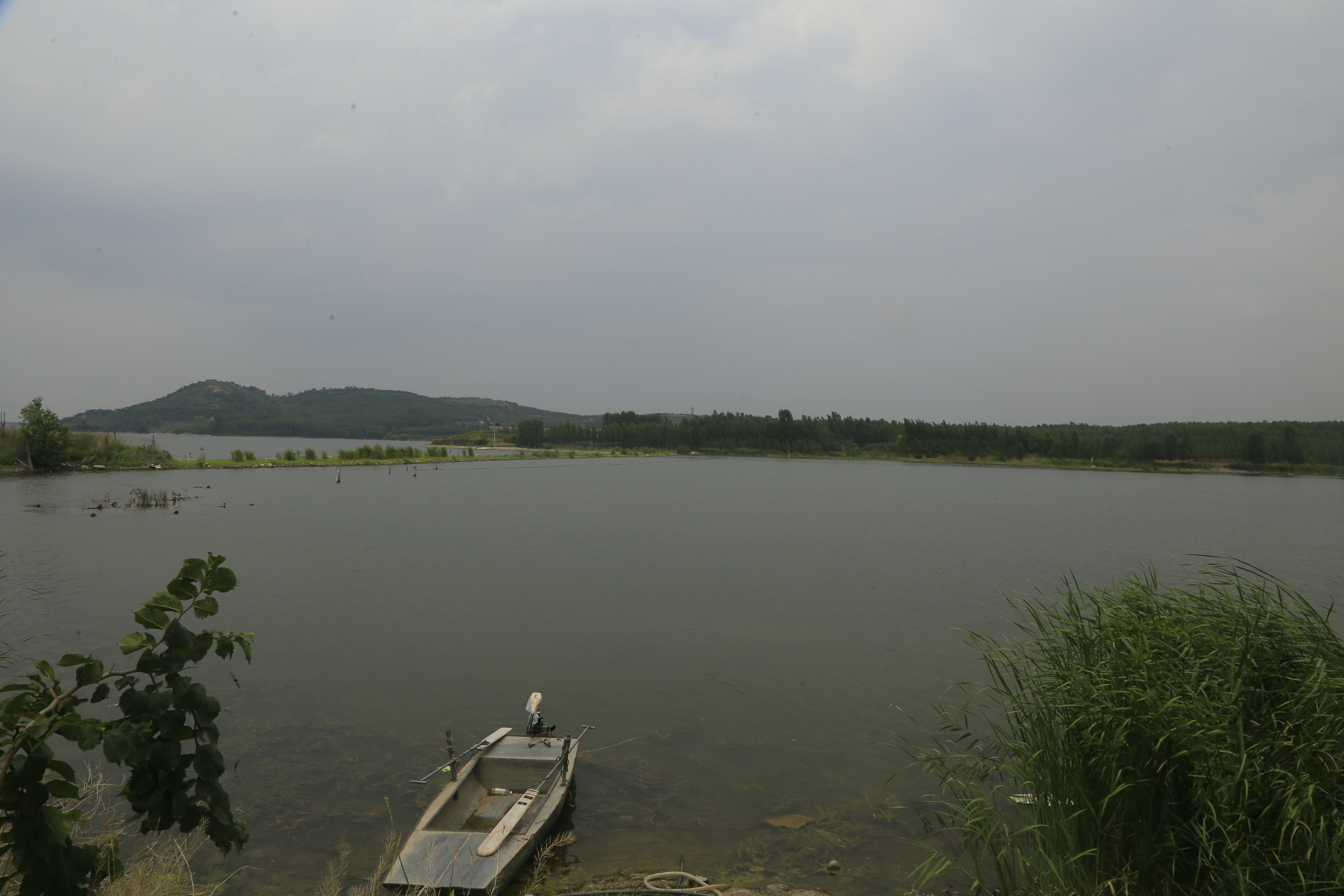 _MG_1876.jpg