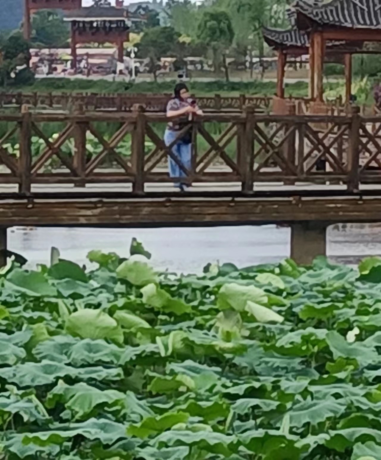 010606003.jpg 010606003.jpg