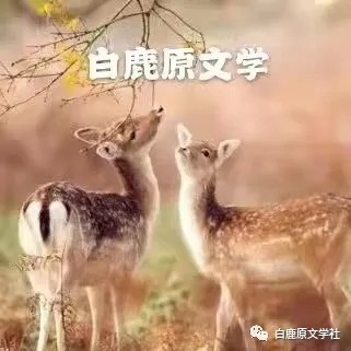 【白鹿原文学院】‖ 《德国女侠》作者:陈言齐| 主播:宏红【第1章】审核:宏红(图8)