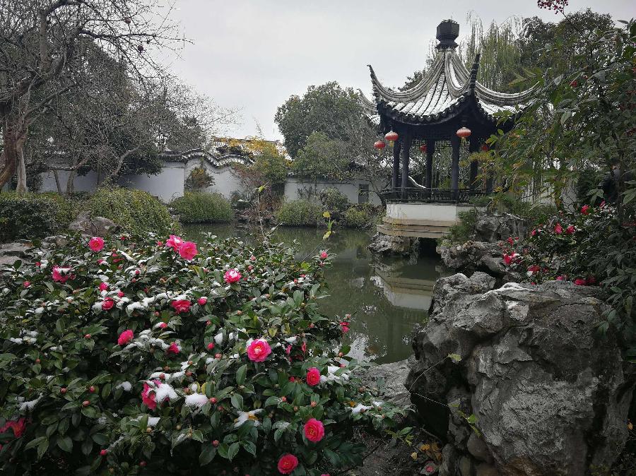 【明心文学】湖畔的琴声 作者/焦相成 主播/花之语（图2）