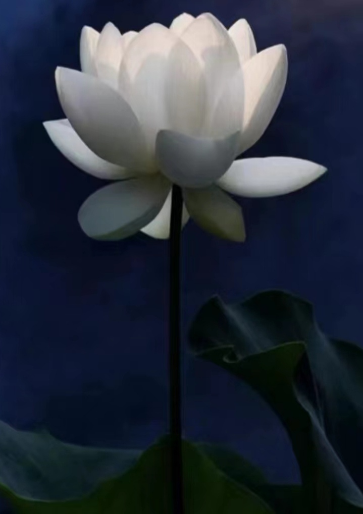 七绝诗.忆惠州(外二首)文/詹成(图7)