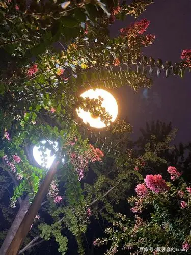 夏 夜‖文图/赵京江，书法/太行山人武功（图3）
