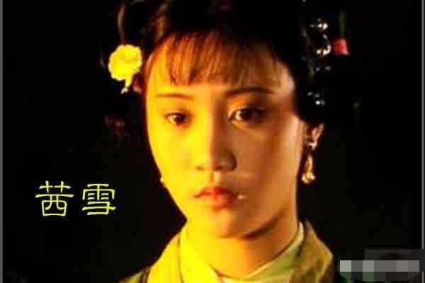 《红楼梦》系列之七十二组(第11至20回)11首(平水韵)《中华新韵》作者 孙春 山东【冰心文传媒】(图23)