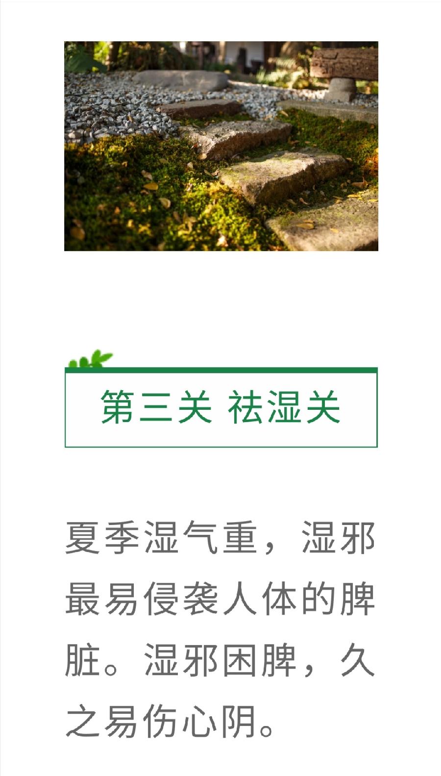 喝好一盏茶，安过三伏天（图9）
