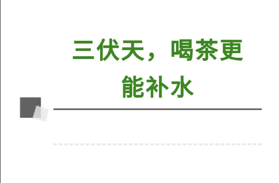 喝好一盏茶，安过三伏天（图16）