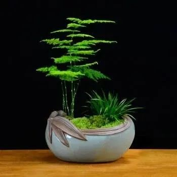 《王改正诗词》作者:王改正(图3)