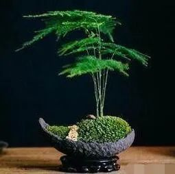 《王改正诗词》作者：王改正（图6）