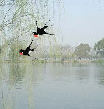 《过子泉-诗选》(图7)