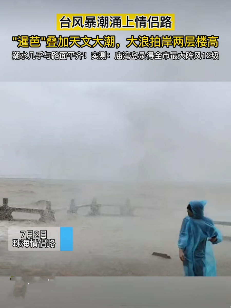 夏日台风 诗 || 杨腊英（珠海）（图3）