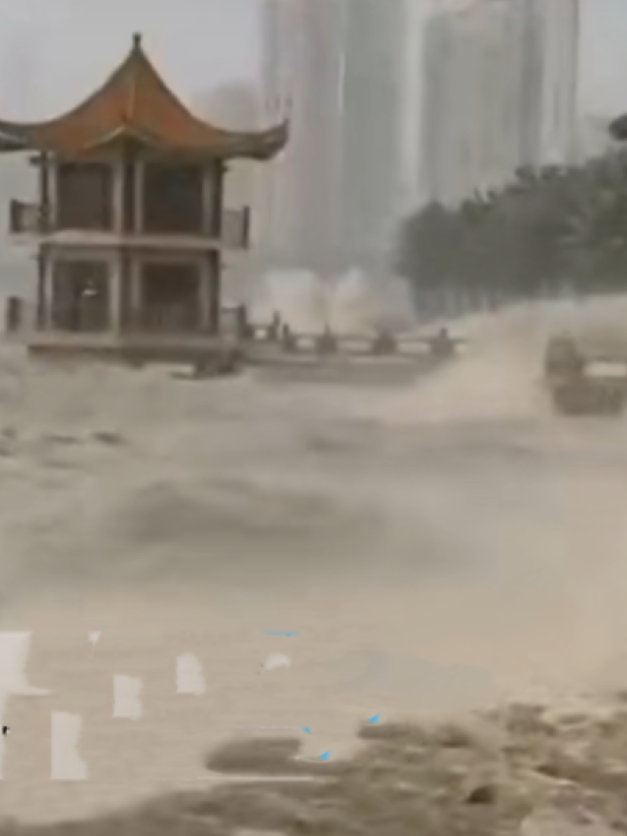 夏日台风 诗 || 杨腊英（珠海）（图4）