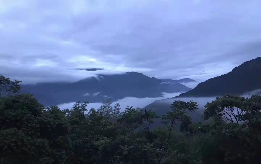 【济南头条】依然专题诗鉴赏(图6)