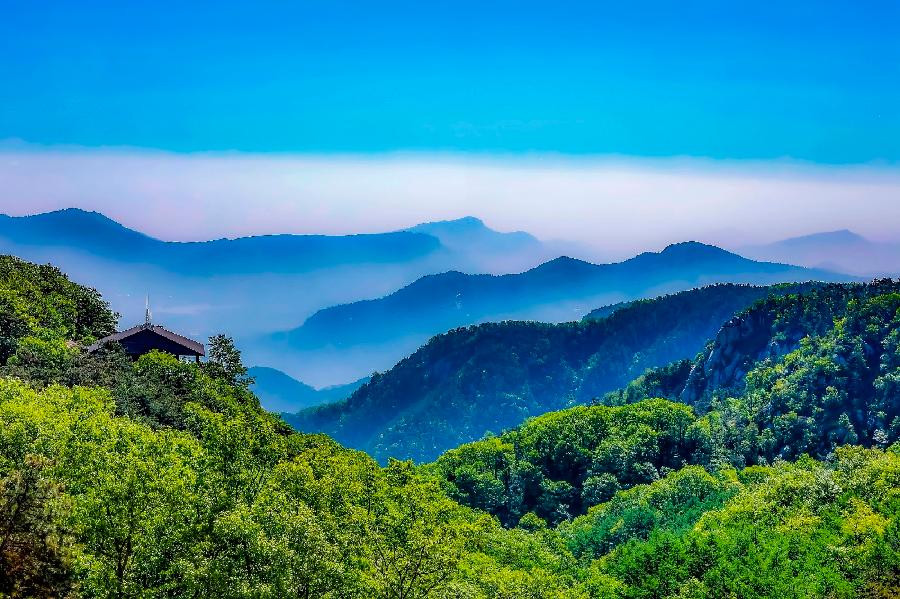 抒情诗人夏牧作品 ‖ 抒怀沂蒙山（图4）
