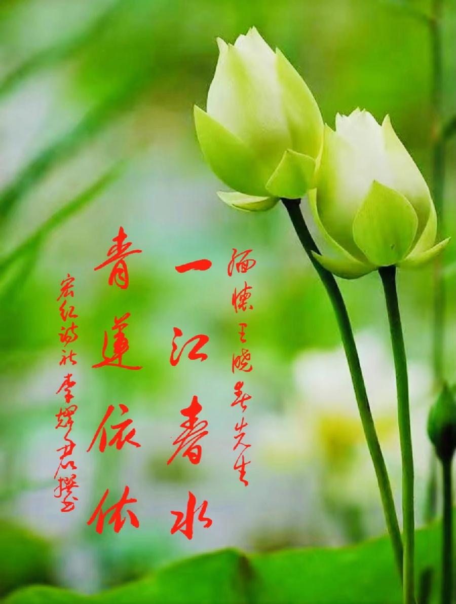 宿富连教授“七一”感赋与古今诗联趣话五章｜中国桂柳之春都市文学社76期（图8）