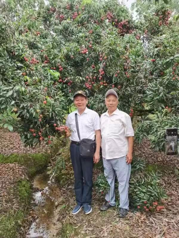 七律·我党超百岁(外二首)广东陈皮/ 陈成志 京津沪头条(图3)