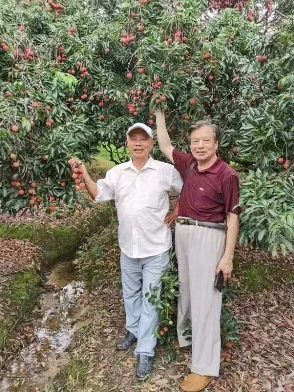 七律·我党超百岁(外二首)广东陈皮/ 陈成志 京津沪头条(图4)