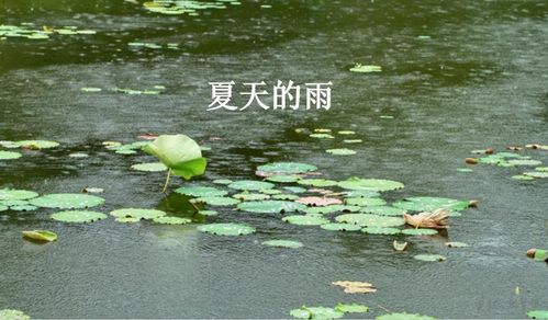 《故道文化•副刊》第二〇一期：张荣岐古诗
