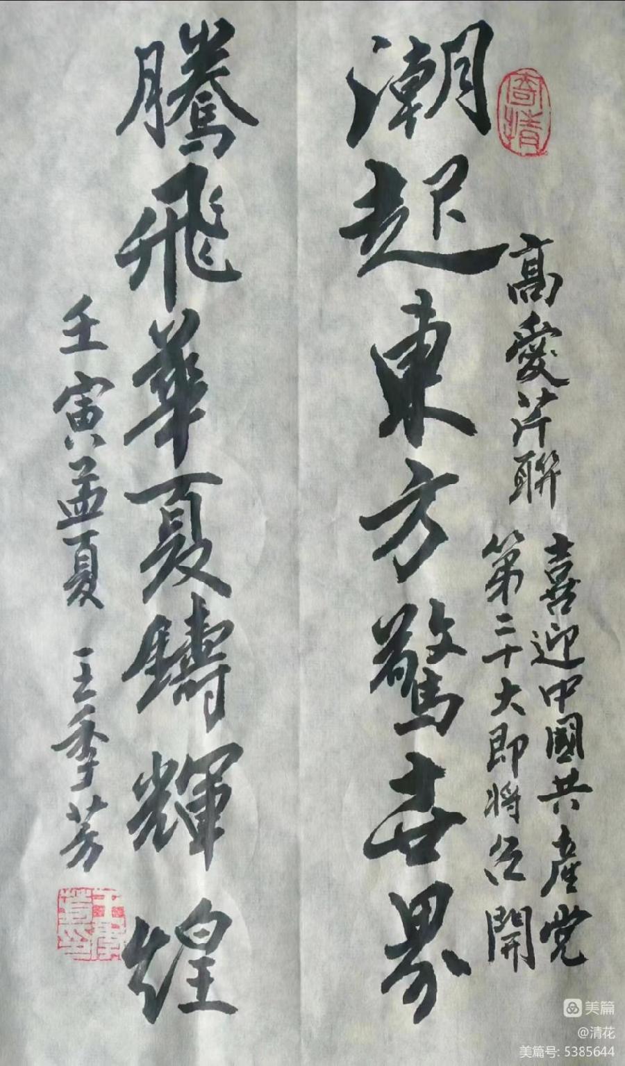 〔书法小辑〕王季芳（河北）【 冰心文化传媒】责任主编 冰心（图8）