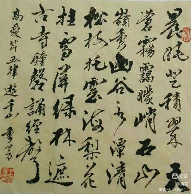 〔书法小辑〕王季芳（河北）【 冰心文化传媒】责任主编 冰心（图11）