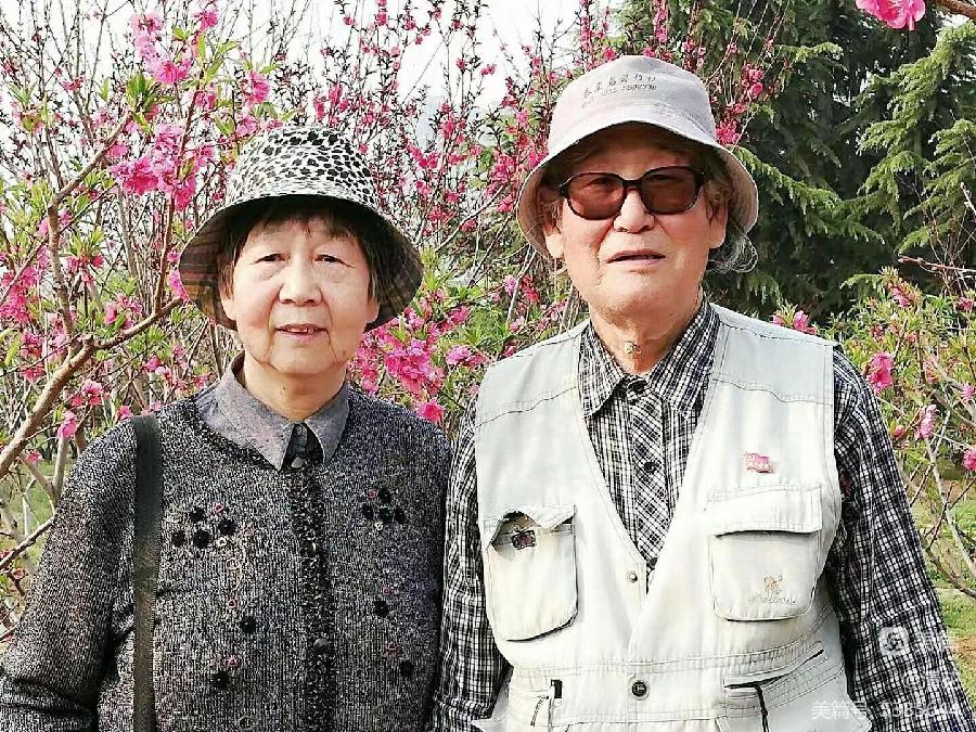 〔书法小辑〕王季芳（河北）【 冰心文化传媒】责任主编 冰心（图16）