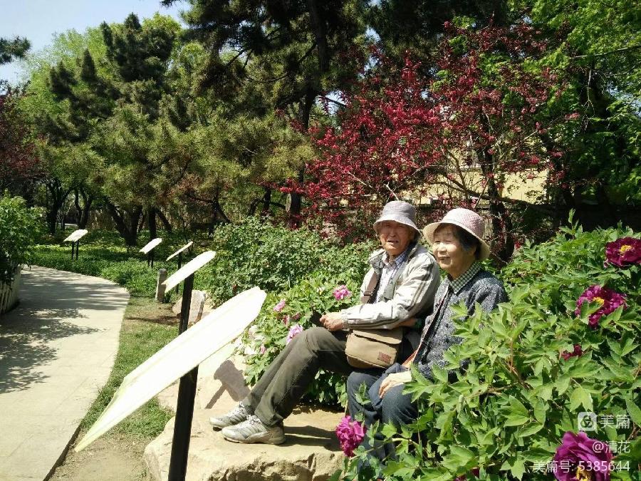 〔书法小辑〕王季芳（河北）【 冰心文化传媒】责任主编 冰心（图14）