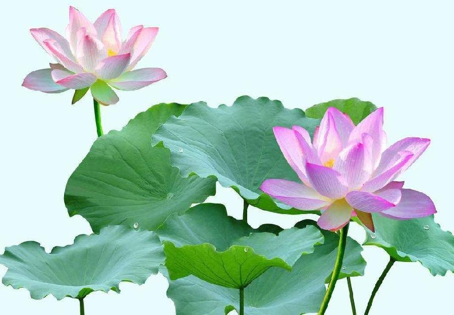 《安顺名师学堂 学子追梦摇篮》橙石：供稿（图7）