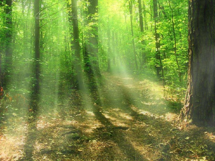 《赵孜姸-思归》(图16)