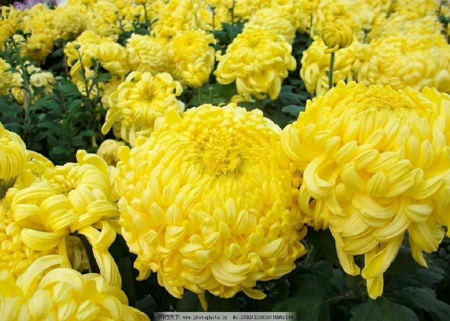 《汤明想词选萃》作者:汤明想(图2)