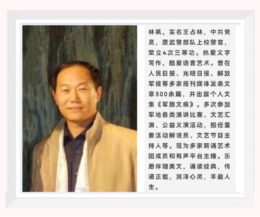 【梅园之音】听林枫 岚新朗诵《党啊 当你走来……》作者：六月荷（图3）