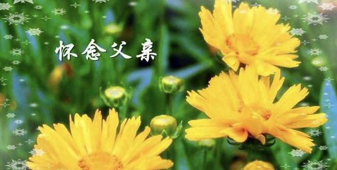《🇨🇳中国人民诗刊》《中国人民诗社》(第2091期)百花齐放:姹紫嫣红(图24)