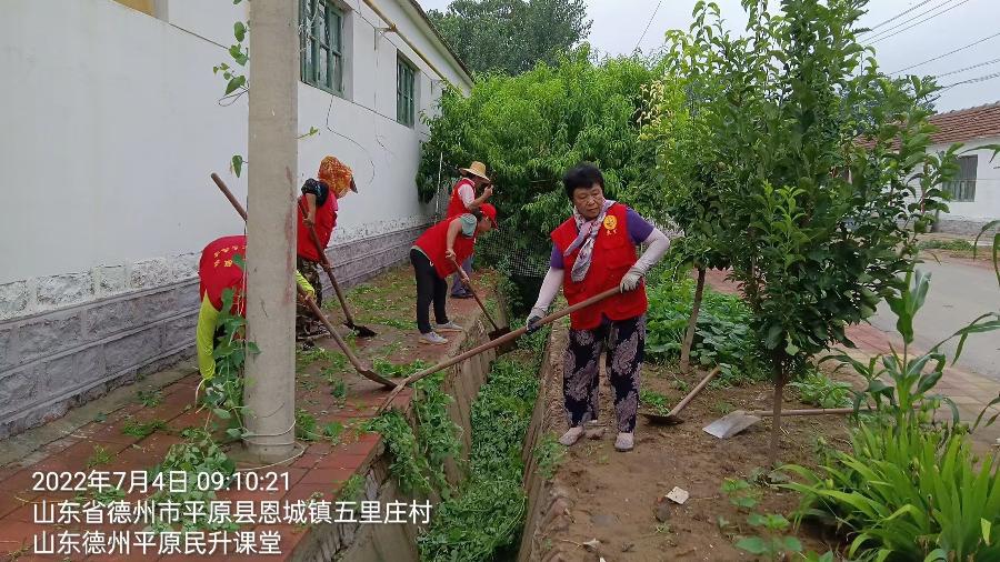 志愿服务助推建设美丽乡村（图2）
