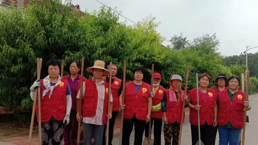 志愿服务助推建设美丽乡村（图6）