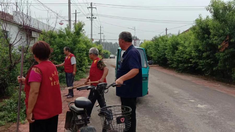 志愿服务助推建设美丽乡村（图5）