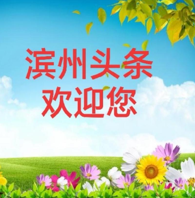 盖爱永三指神禅写脉意 文/董泽元——滨州头条(图13)