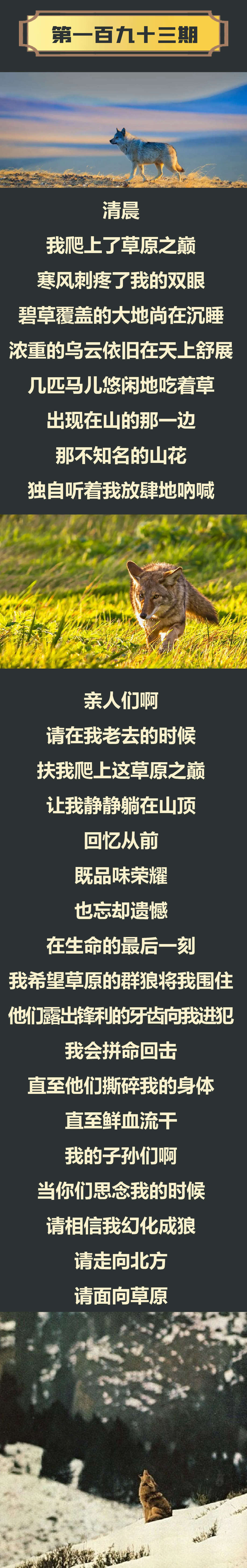 闈㈠悜鑽夊師-2.png