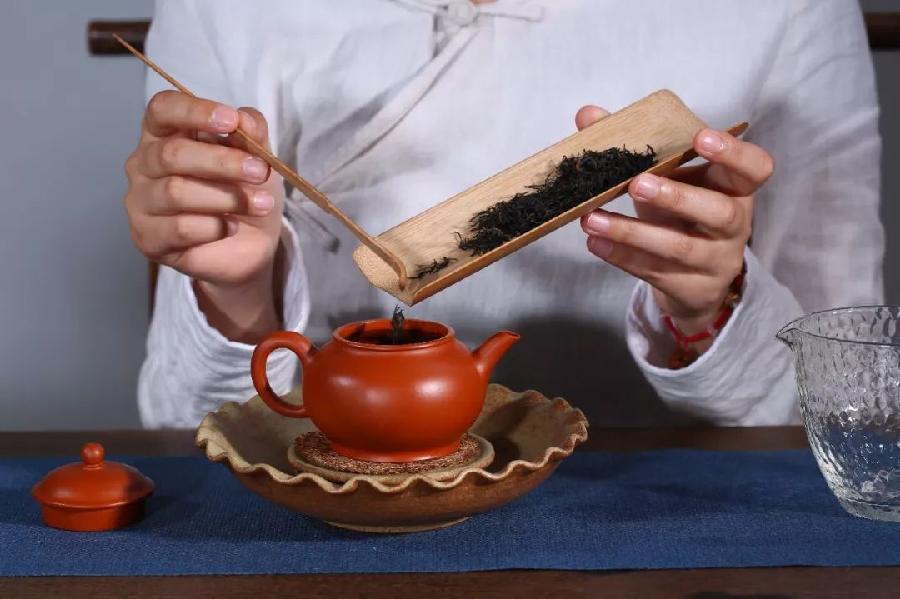 茶叶为什么是人体器官的“保护伞”,答案终于齐了!(图5)