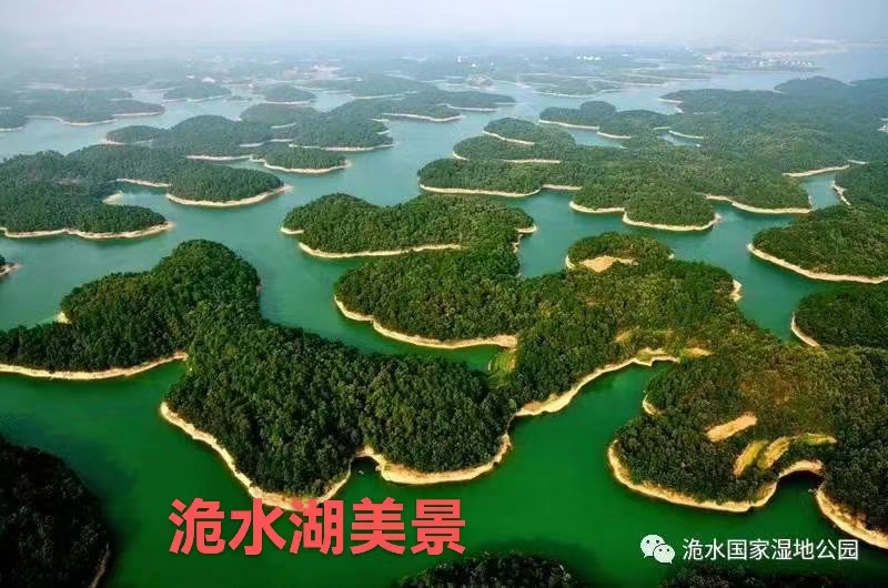 【都市头条】推介胡清普《在洈水湖边发呆》请欣赏（图5）