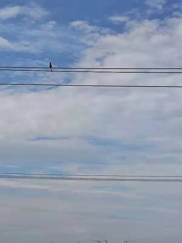 6401.jpg