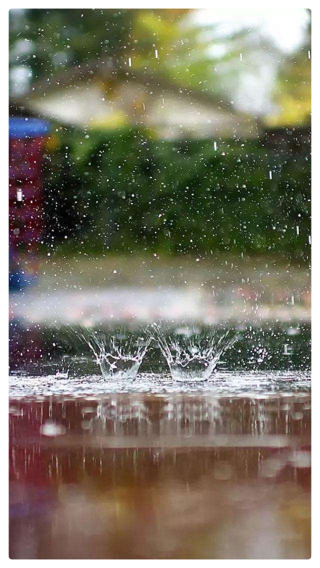 夏天里的雨ll作者 晓犁Ⅱ朗诵 老菩提(图4)
