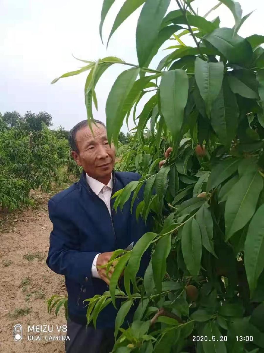 《第六届世界爱情诗大赛》（173）【追梦者总社】推荐：程忠武（图2）