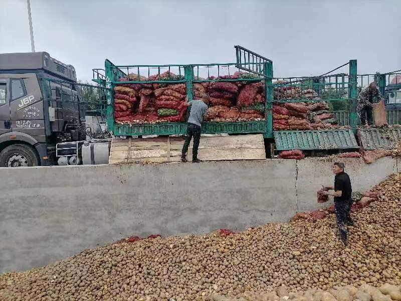 【纪实散文】走进榆林新建淀粉厂:文/王文琴(陕西韩城)(图4)