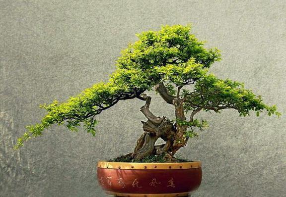 《假如不再》作者：杨敏（图3）