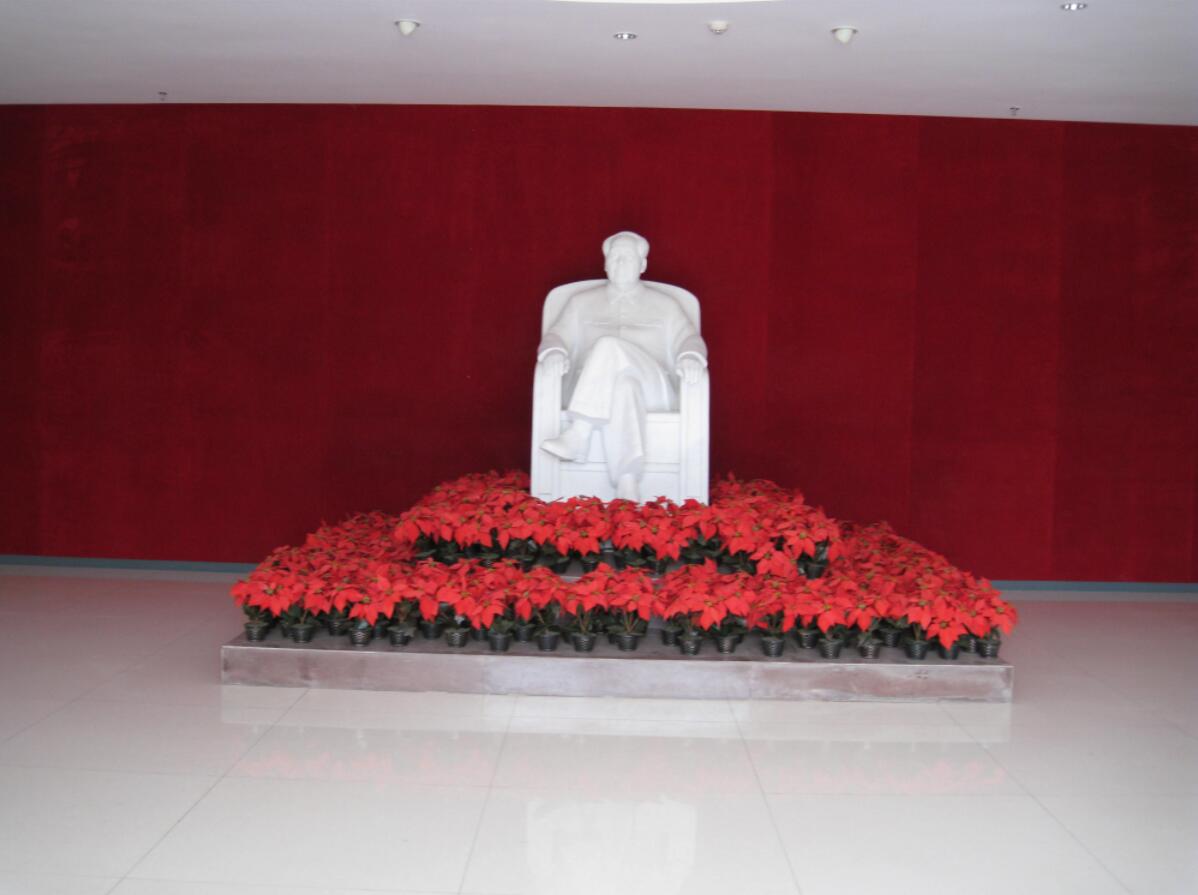 091803300.jpg t03.jpg