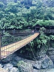 〔诗词特辑〕作者 张卫红(甘肃徽县)【冰心文化传媒】责任主编 冰心(图7)