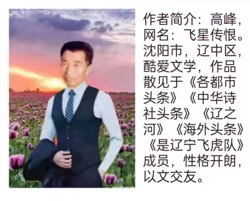 山谷幽兰老师倾情演绎联袂情感诗词|作者/婉莹/依然/飞星传恨|海外头条(图11)