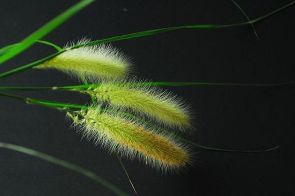 饭后闲谈 文/苏州漫(图2)
