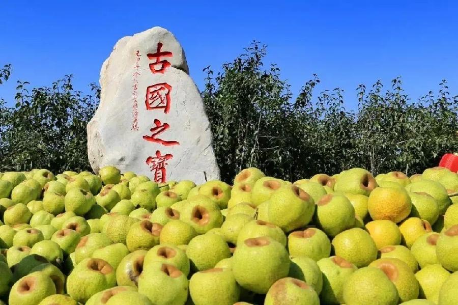 纪实文学《商海行踪》 第四集 胶东行之一 文/鲁汉(图4)