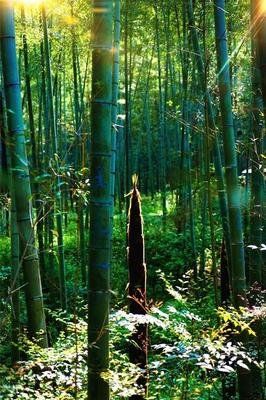 《童心咏物诗选萃》作者：童心（图3）