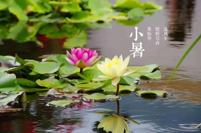 中华诗艺九江格律诗词精品鉴赏(合辑)第1456期(图46)
