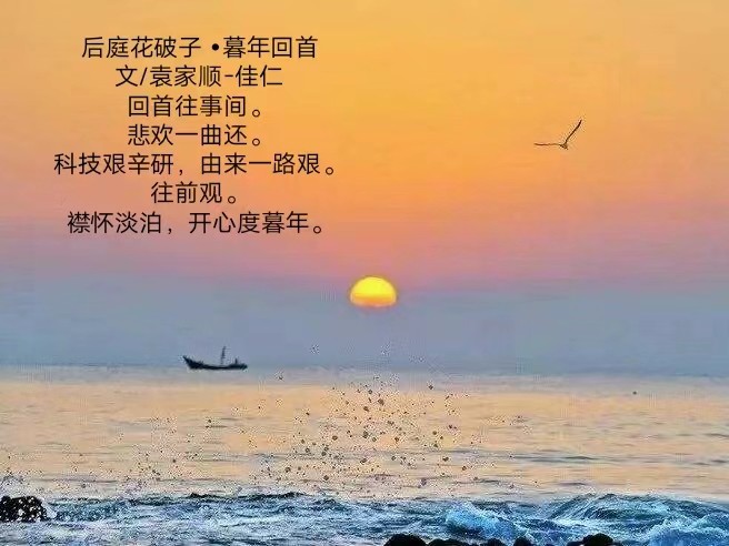 〔诗词小辑〕作者 袁家顺(上海)【冰心文化传媒】主编 冰心(图5)