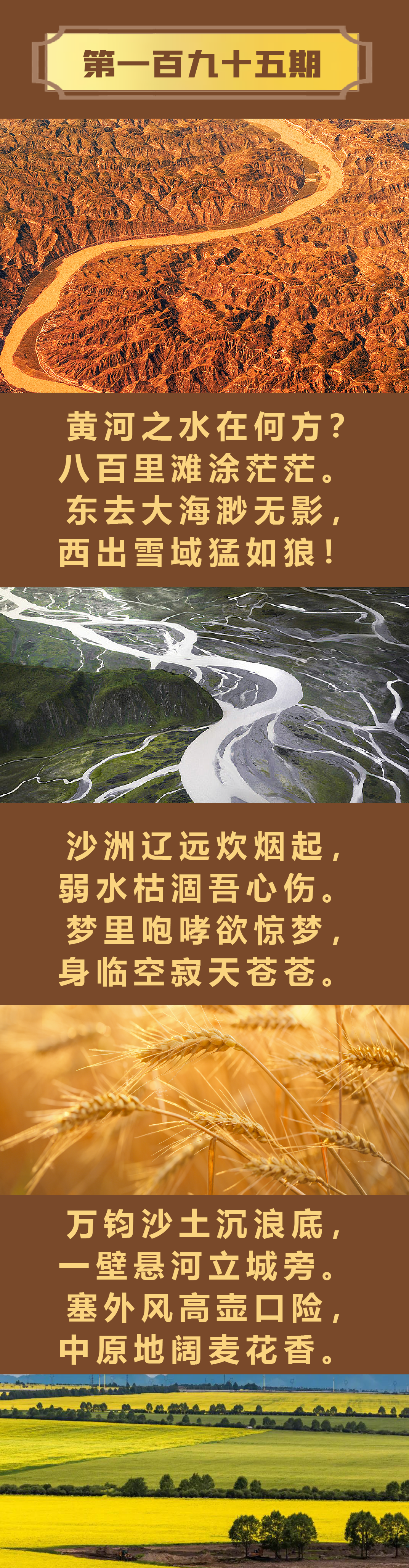 鑺卞洯鍙ｆ湜榛勬渤鎶掓??-2.png